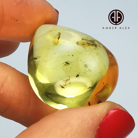 Natural Amber Drop Shape Stone With Insects