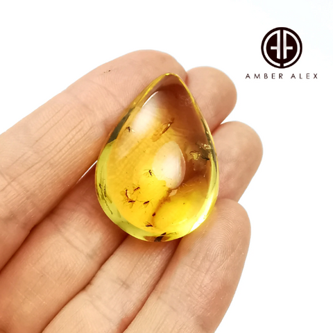 Natural Amber Drop Shape Stone With Insects