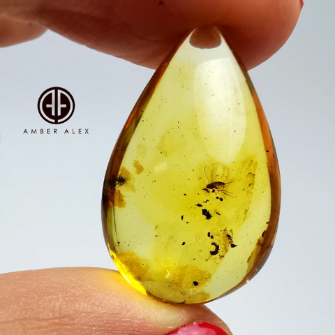 Natural Amber Drop Shape Stone With Insects