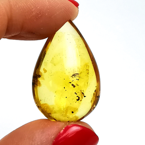 Natural Amber Drop Shape Stone With Insects