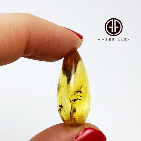 Natural Amber Drop Shape Stone With Insects