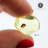Crystal Cut Lemon color Amber Stone with Insects