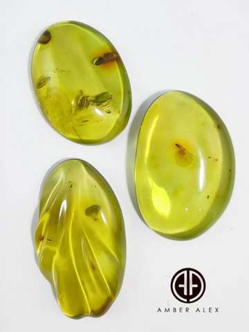 Green Amber Free Shape Cabochons With Insects