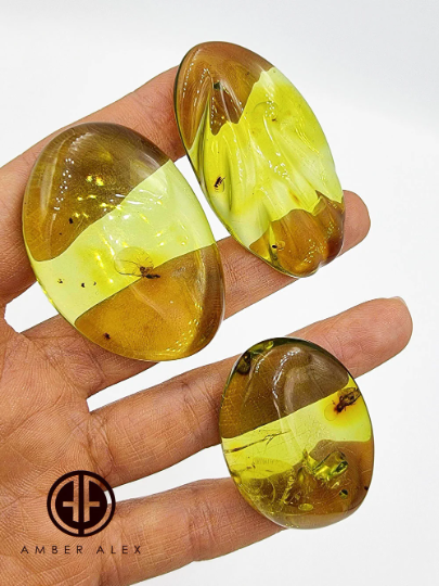 Green Amber Free Shape Cabochons With Insects