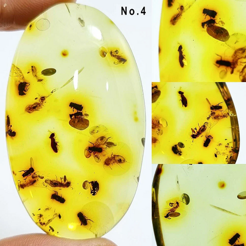 Green Amber Free Shape Cabochons With Insects