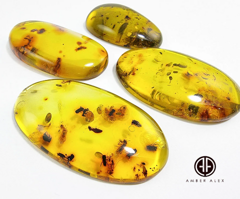 Green Amber Free Shape Cabochons With Insects