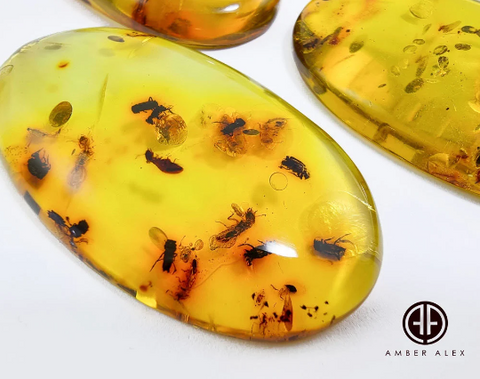 Green Amber Free Shape Cabochons With Insects