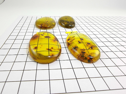 Green Amber Free Shape Cabochons With Insects