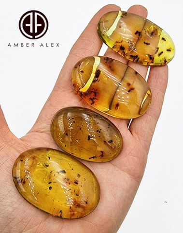 Green Amber Free Shape Cabochons With Insects