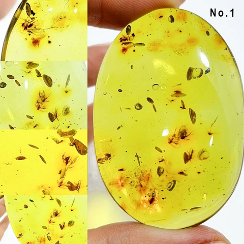 Green Amber Free Shape Cabochons With Insects