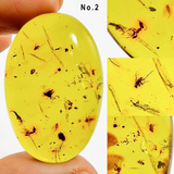 Green Amber Free Shape Cabochons With Insects