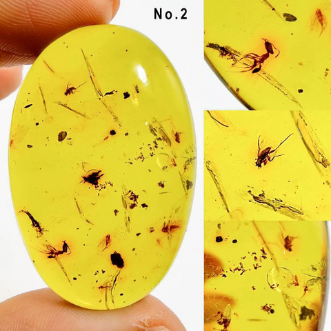 Green Amber Free Shape Cabochons With Insects