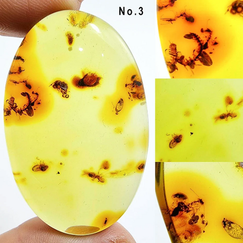 Green Amber Free Shape Cabochons With Insects