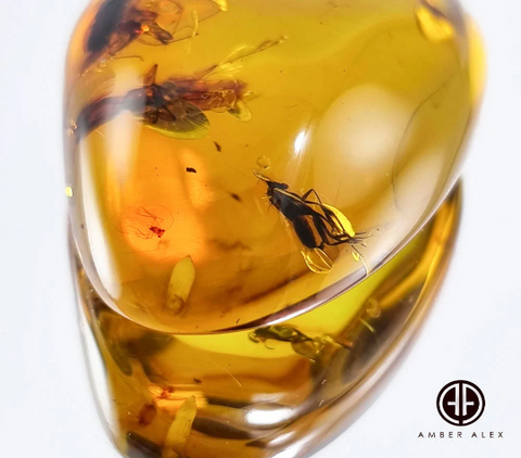 Natural Amber Free Shape Stone With Insects