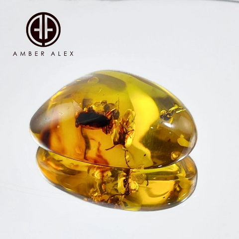 Natural Amber Free Shape Stone With Insects