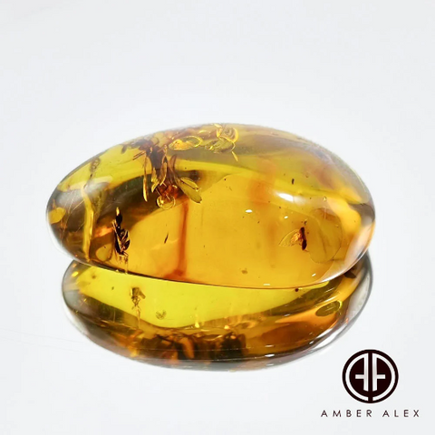 Natural Amber Free Shape Stone With Insects