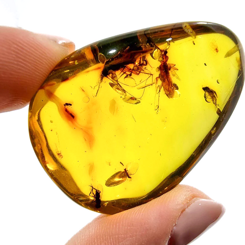 Natural Amber Free Shape Stone With Insects