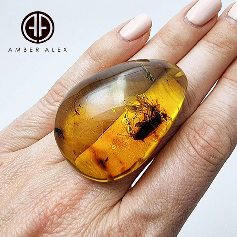 Natural Amber Free Shape Stone With Insects