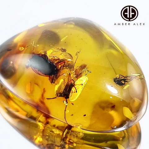 Natural Amber Free Shape Stone With Insects