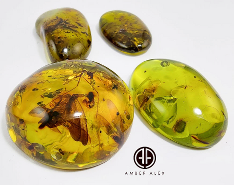 Green Amber Free Shape Cabochons With Insects