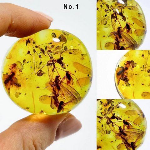 Green Amber Free Shape Cabochons With Insects