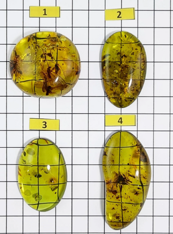 Green Amber Free Shape Cabochons With Insects