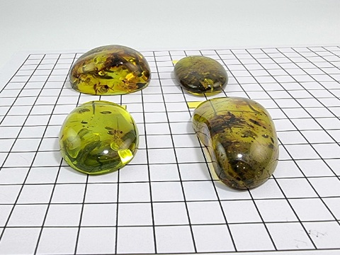 Green Amber Free Shape Cabochons With Insects