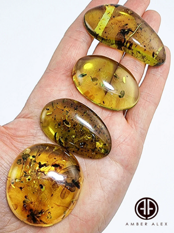 Green Amber Free Shape Cabochons With Insects