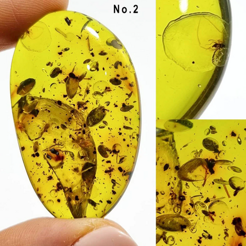 Green Amber Free Shape Cabochons With Insects