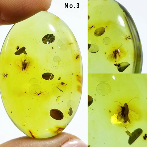 Green Amber Free Shape Cabochons With Insects