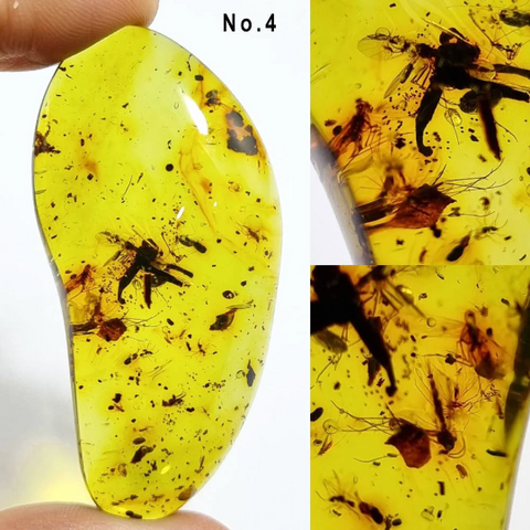 Green Amber Free Shape Cabochons With Insects