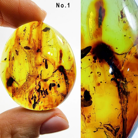 Green Amber Free Shape Cabochons With Insects