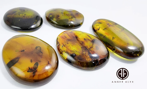 Green Amber Free Shape Cabochons With Insects