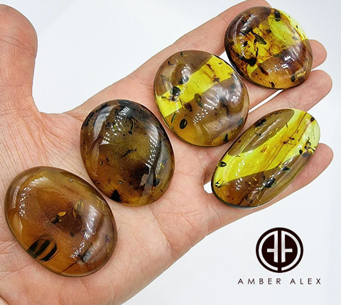 Green Amber Free Shape Cabochons With Insects