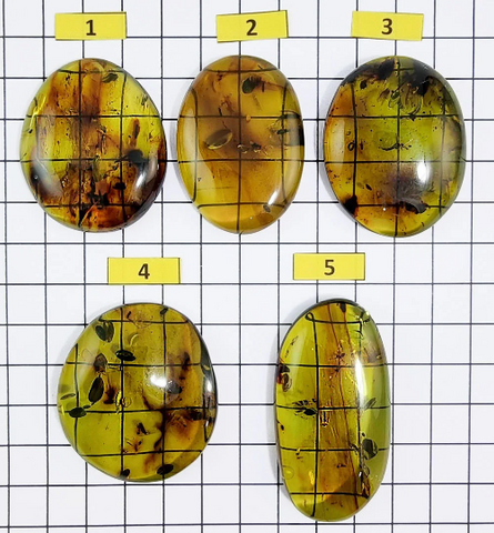 Green Amber Free Shape Cabochons With Insects