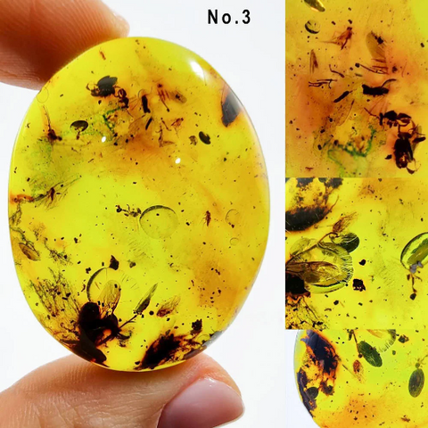 Green Amber Free Shape Cabochons With Insects