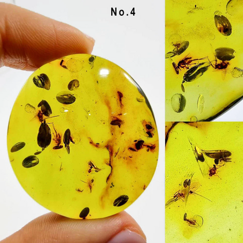 Green Amber Free Shape Cabochons With Insects