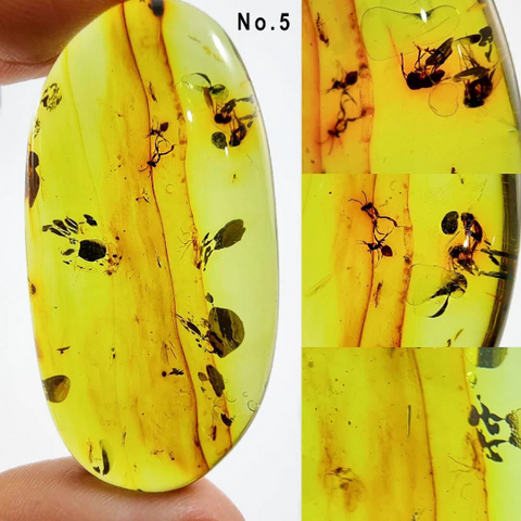 Green Amber Free Shape Cabochons With Insects