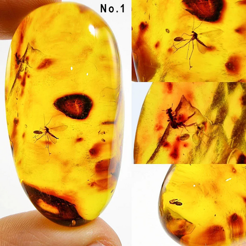 Natural Amber Free Shape Cabochons With Insects