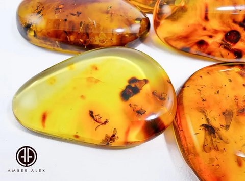 Natural Amber Free Shape Cabochons With Insects