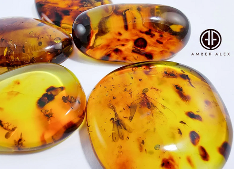 Natural Amber Free Shape Cabochons With Insects