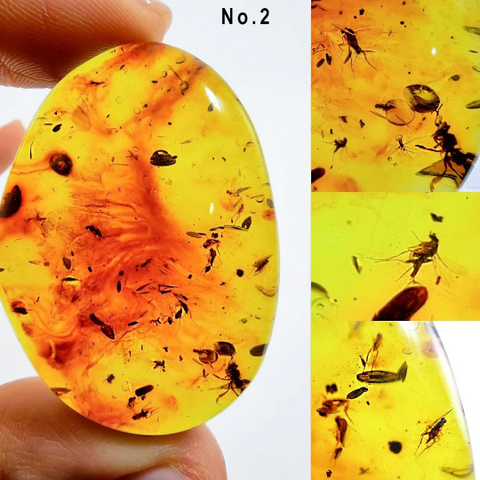 Natural Amber Free Shape Cabochons With Insects