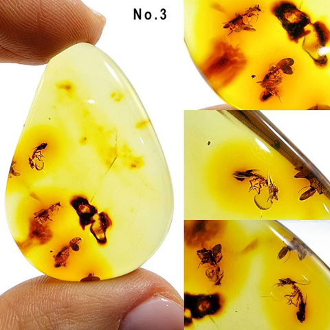 Natural Amber Free Shape Cabochons With Insects