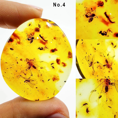 Natural Amber Free Shape Cabochons With Insects