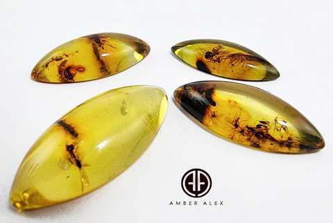 Natural Amber Marquise Shape Cabochon With Insects