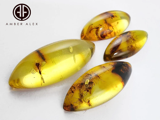 Natural Amber Marquise Shape Cabochon With Insects