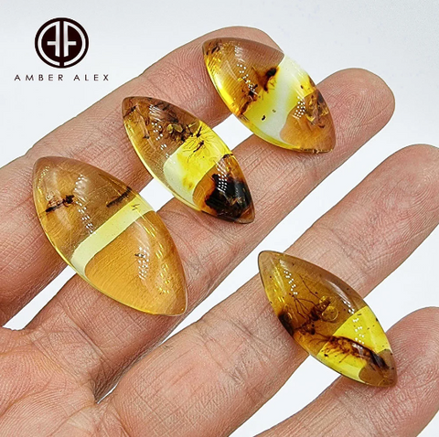 Natural Amber Marquise Shape Cabochon With Insects