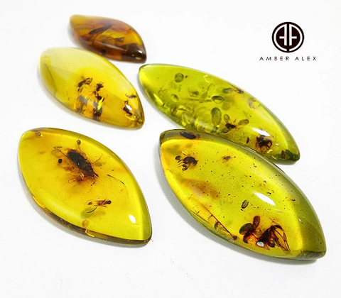 Natural Amber Marquise Shape Cabochon With Insects