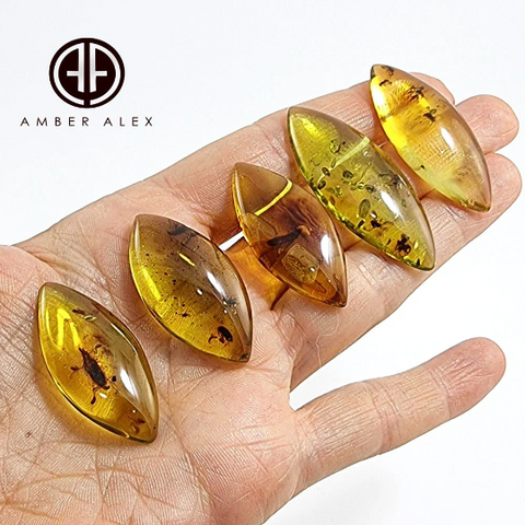 Natural Amber Marquise Shape Cabochon With Insects