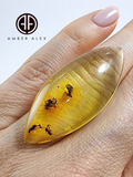 Natural Amber Marquise Shape Cabochon With Insects